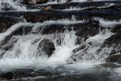 DSC_3589 (Large).JPG